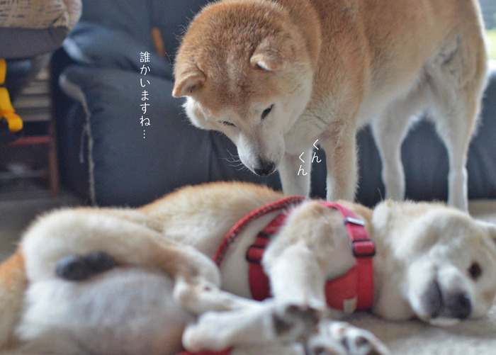 23日ブログ4