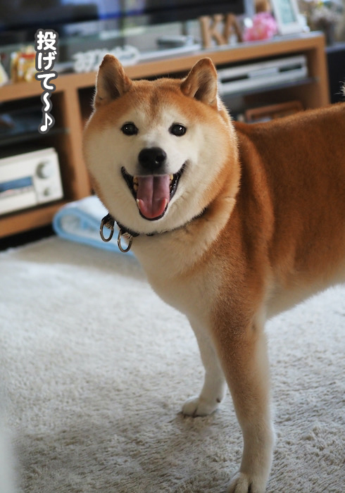 8日夜ブログ２