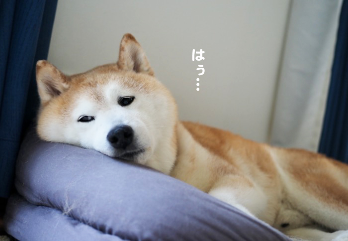 17日ブログ４