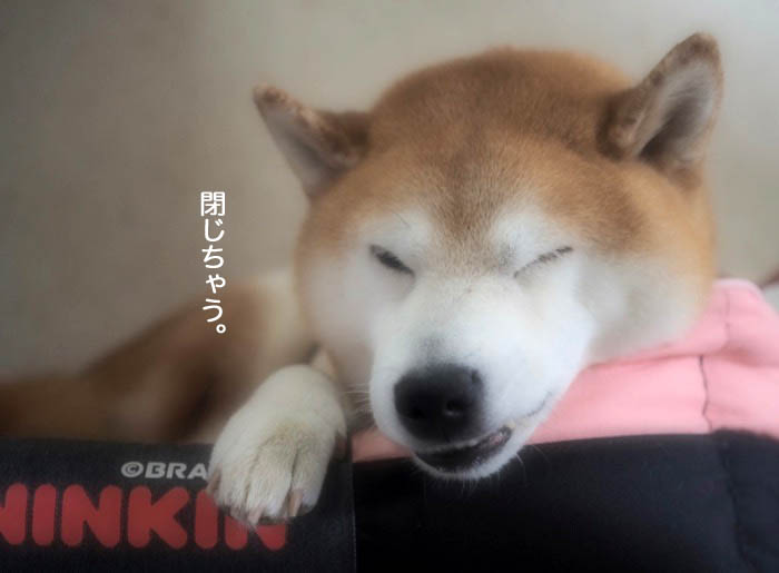 5日ブログ５