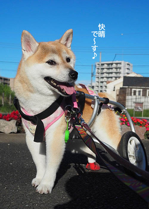 26日午前ブログ２