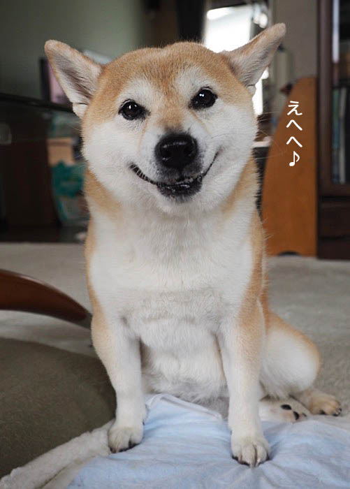 4日夜ブログ７