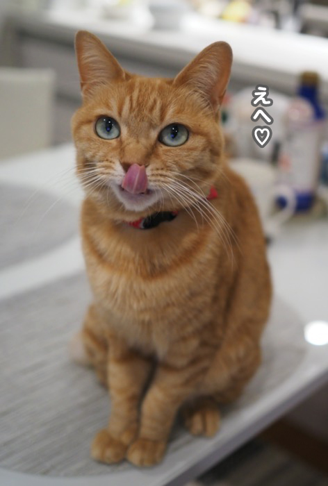 18日の夕ブログ7