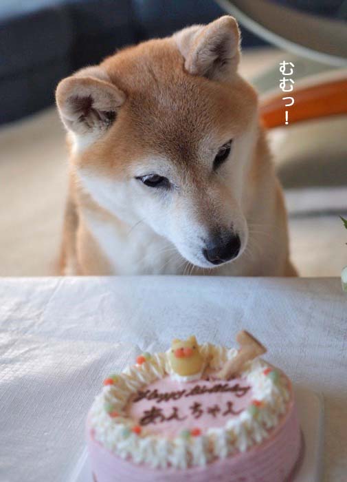 3日午後ブログ３
