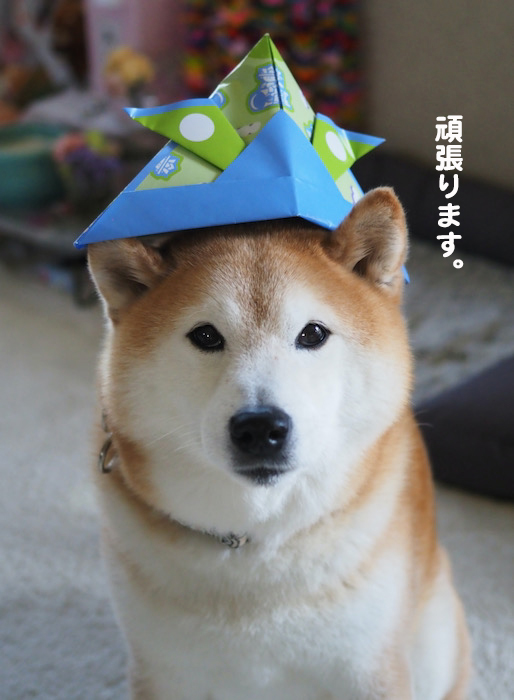 5日ブログ４