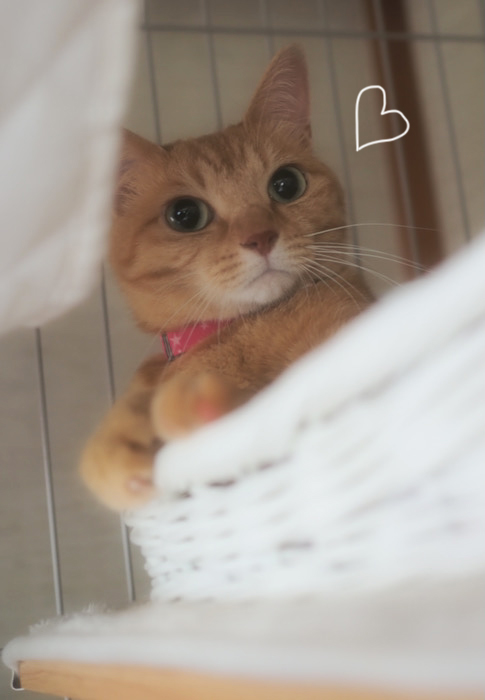 15日ブログ１