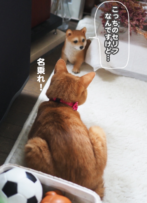 7日ブログ３