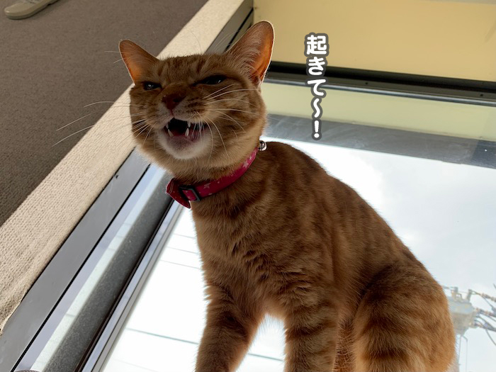 8日ブログ３