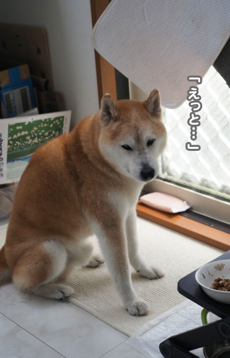 13日夕ブログ3