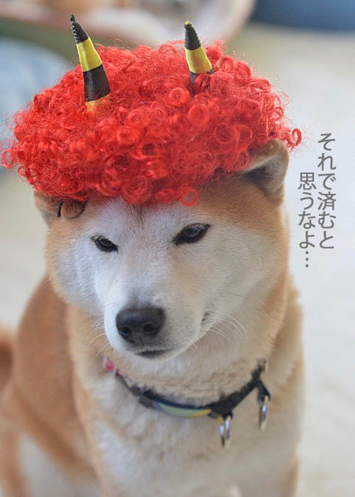 3日ブログ９