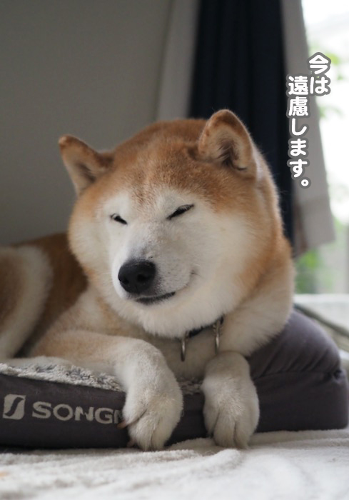 16日夕ブログ4