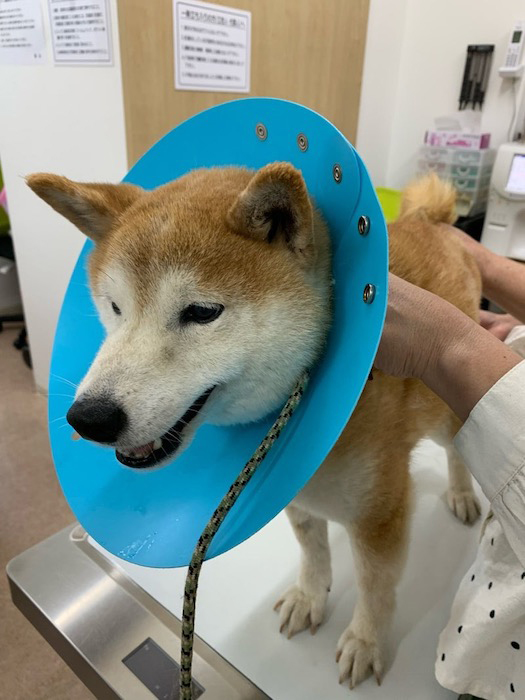 26日ブログ４