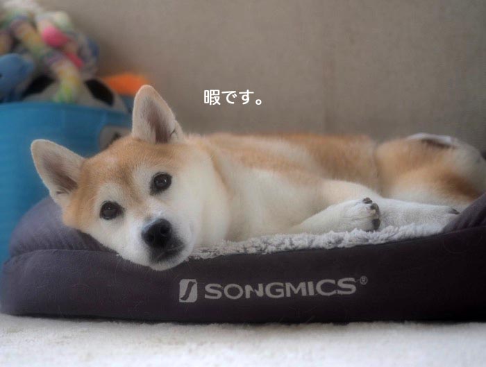 15日夜ブログ２