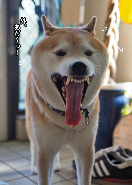29日ブログ４
