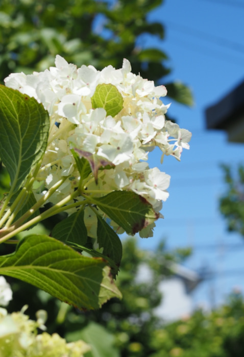 28日ブログ３