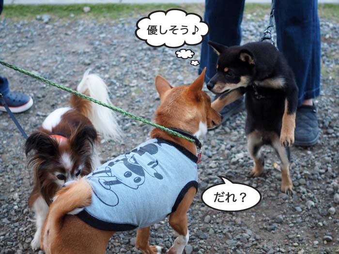 13日ブログ６