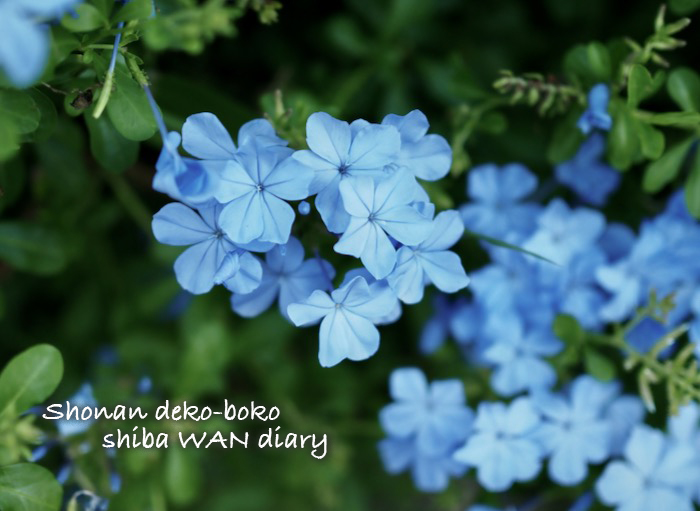29日ブログ１