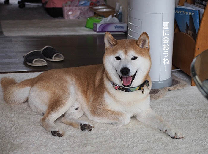 4日ブログ8