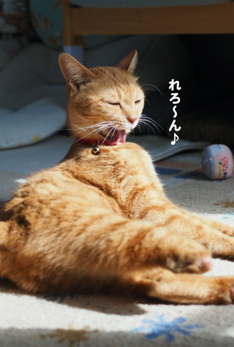 27日ブログ４