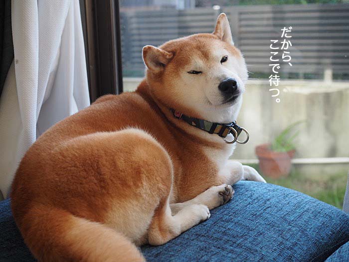 1日ブログ６
