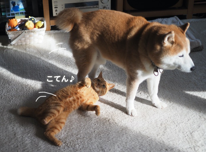 24日夕ブログ３