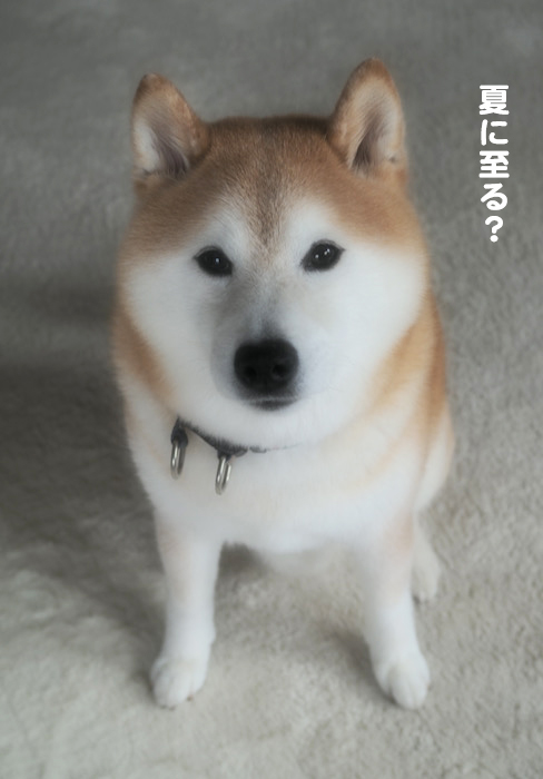 21日ブログ２