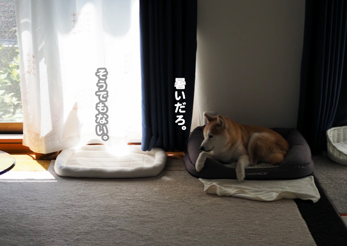 17日夕ブログ６