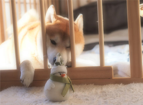 24日ブログ2.jpg