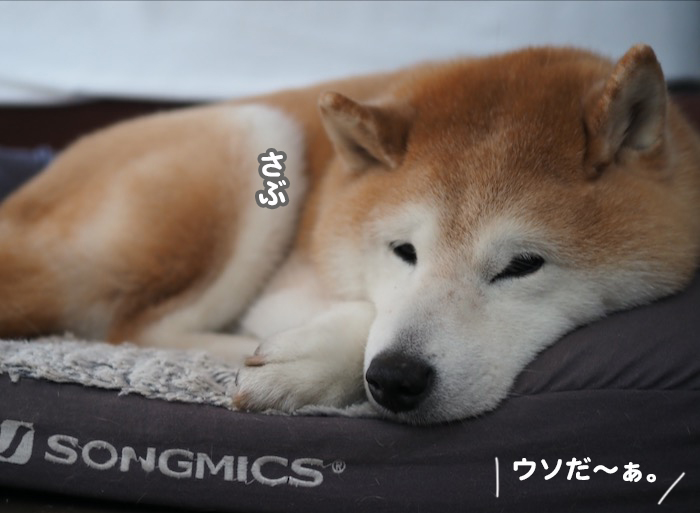 28日ブログ１