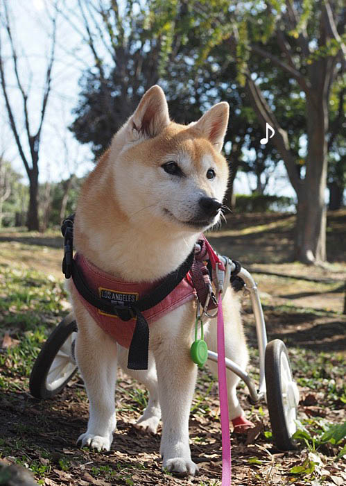 12日ブログ２