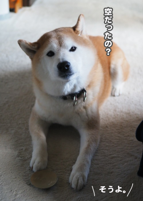 10日夕ブログ９