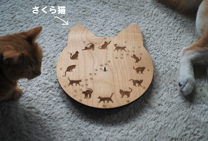 10日ブログ5