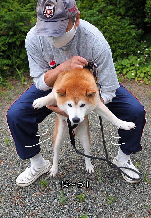 12日夜ブログ３