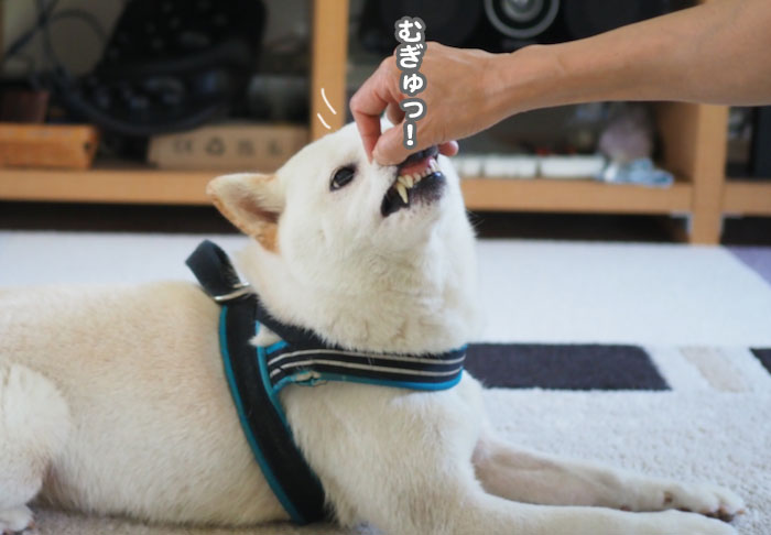 7日夕ブログ４