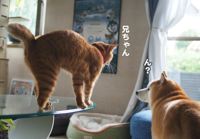 13日夕ブログ２