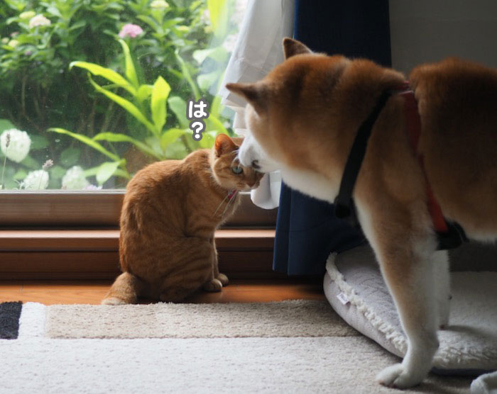 9日ブログ２