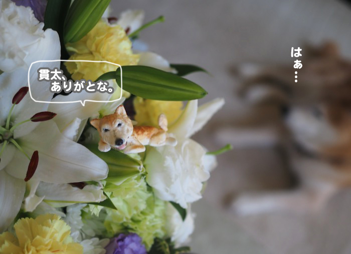 18日ブログ８
