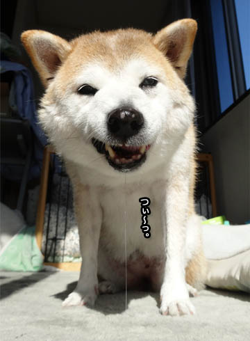 23日ブログ5.jpg