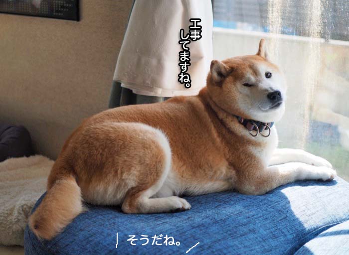 23日ブログ６