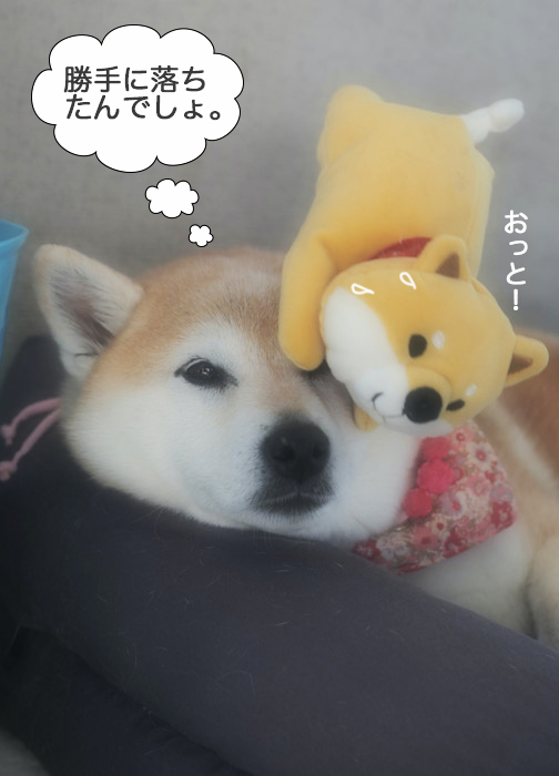 7日ブログ６