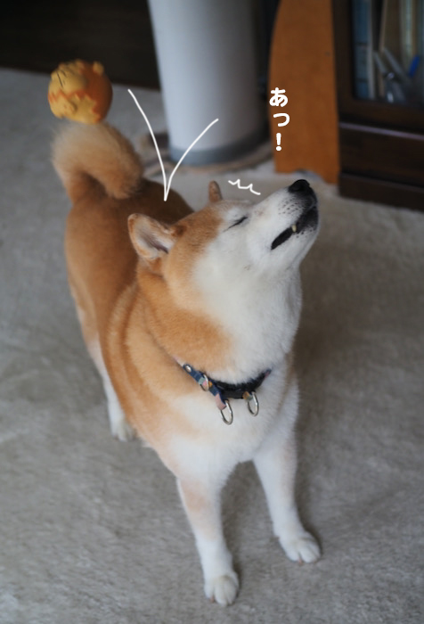 23日夕ブログ５
