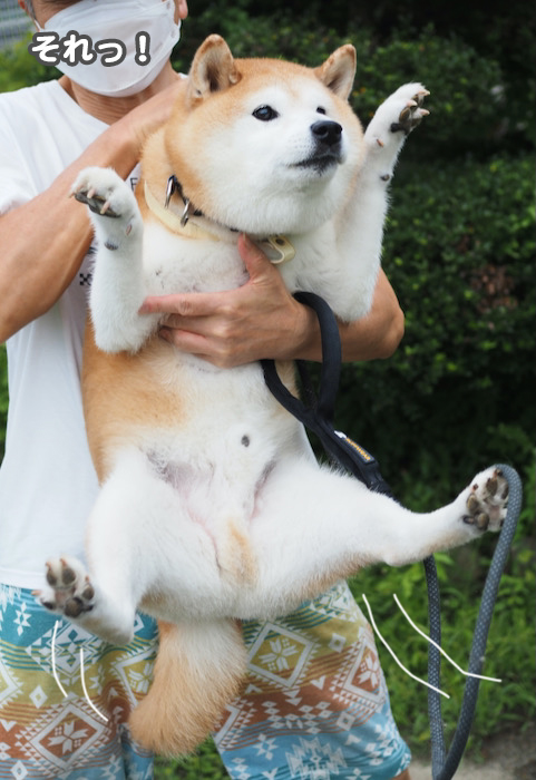25日夕ブログ５