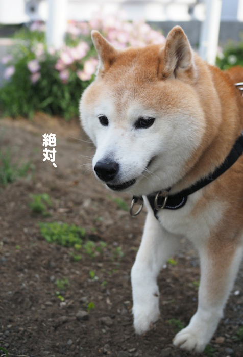 13日ブログ２