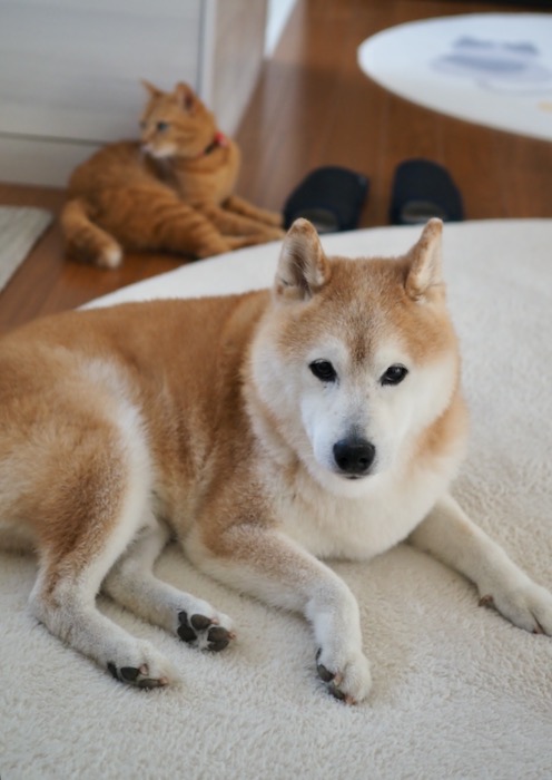 2日ブログ２