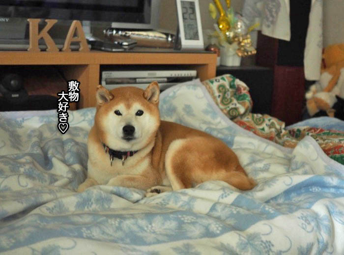 23日ブログ２
