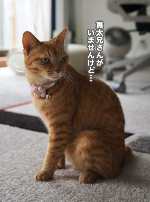 9日夕ブログ２