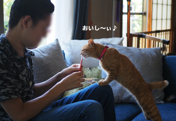 21日夕ブログ４