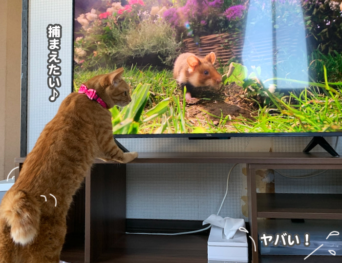 3日夕ブログ７