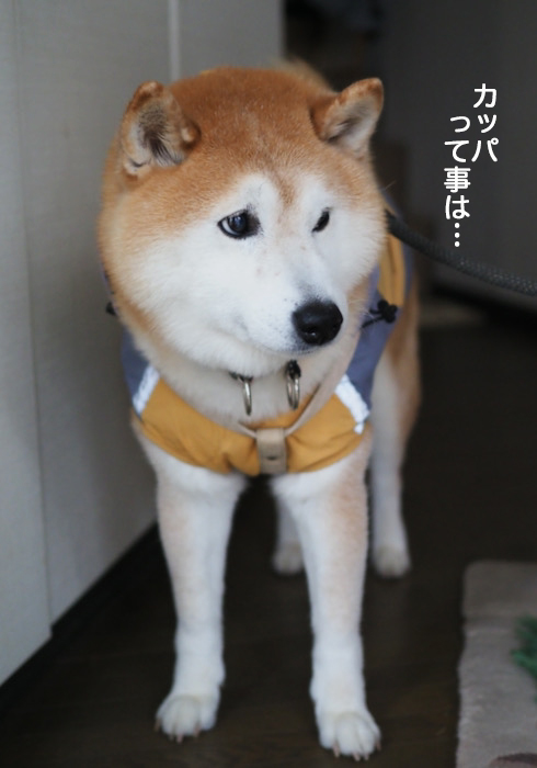 22日夜ブログ６