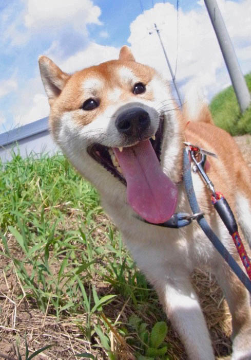 11日ブログ４